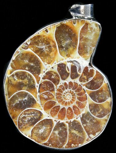 Fossil Ammonite Pendant - Million Years Old #37924